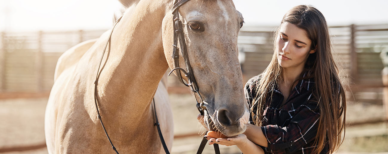 Epol has a dedication to taking exceptional care of animals. We create industry-leading Animal Feed to maintain an excellent level of health from horses to game.